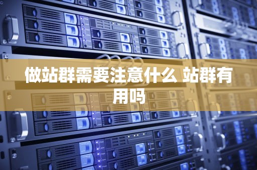 做站群需要注意什么 站群有用吗