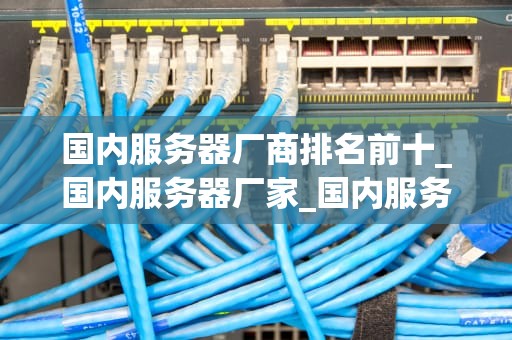 国内服务器厂商排名前十_国内服务器厂家_国内服务器厂商排名前十的深度解析