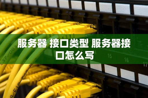 服务器 接口类型 服务器接口怎么写