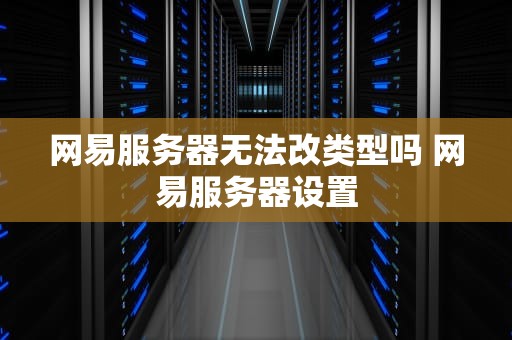 网易服务器无法改类型吗 网易服务器设置