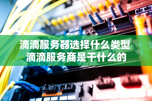 滴滴服务器选择什么类型 滴滴服务商是干什么的