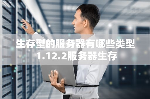 生存型的服务器有哪些类型 1.12.2服务器生存