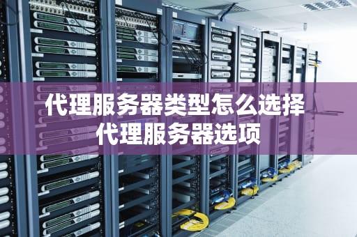 代理服务器类型怎么选择 代理服务器选项