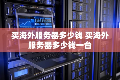买海外服务器多少钱 买海外服务器多少钱一台