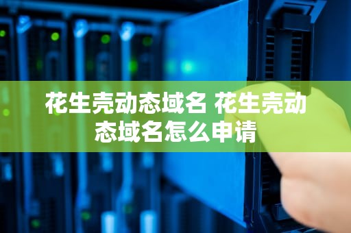 花生壳动态域名 花生壳动态域名怎么申请