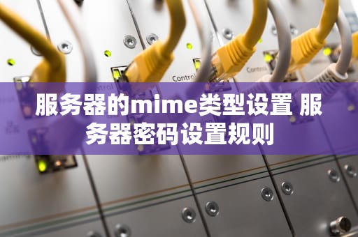 服务器的mime类型设置 服务器密码设置规则