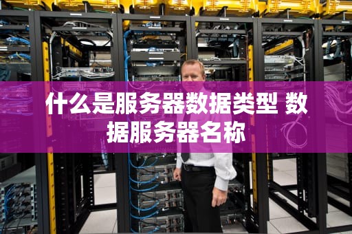 什么是服务器数据类型 数据服务器名称