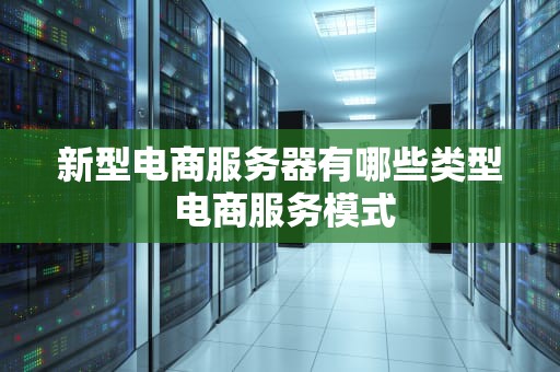 新型电商服务器有哪些类型 电商服务模式