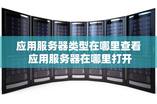 应用服务器类型在哪里查看 应用服务器在哪里打开
