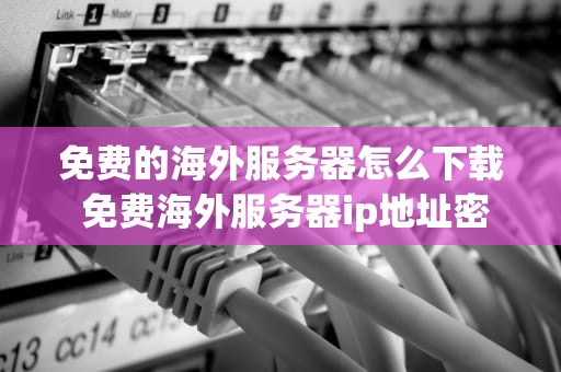 免费的海外服务器怎么下载 免费海外服务器ip地址密码和端口