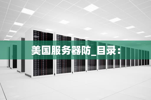 美国服务器防_目录：