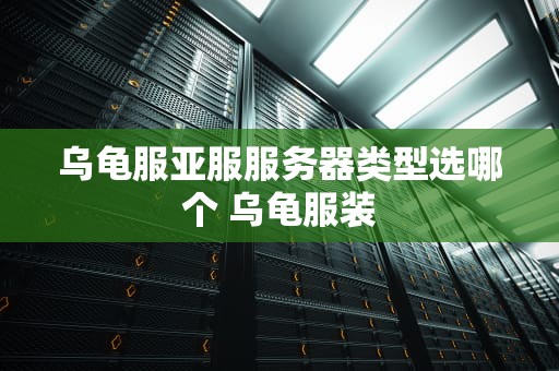 乌龟服亚服服务器类型选哪个 乌龟服装