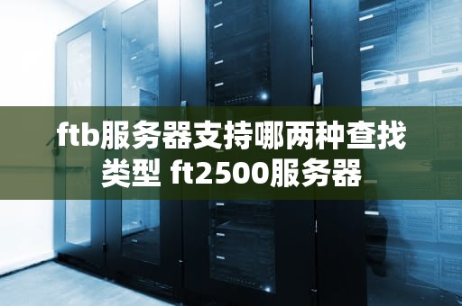 ftb服务器支持哪两种查找类型 ft2500服务器