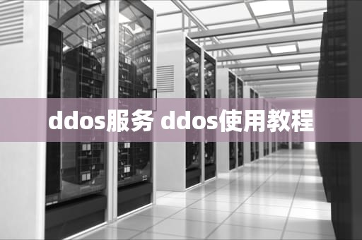 ddos服务 ddos使用教程