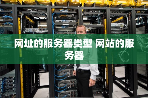 网址的服务器类型 网站的服务器