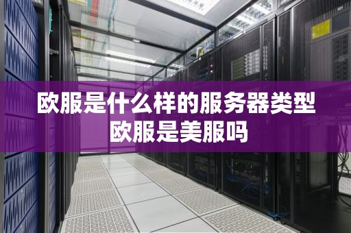 欧服是什么样的服务器类型 欧服是美服吗