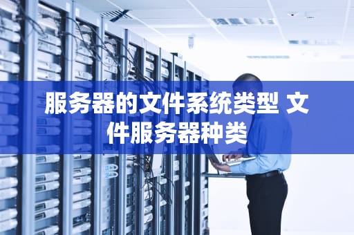 服务器的文件系统类型 文件服务器种类