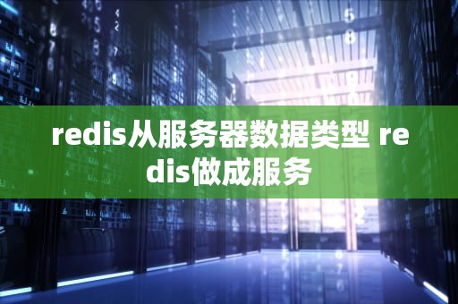 redis从服务器数据类型 redis做成服务