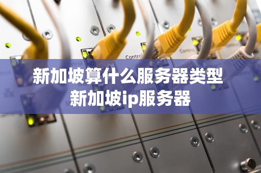 新加坡算什么服务器类型 新加坡ip服务器