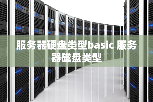 服务器硬盘类型basic 服务器磁盘类型