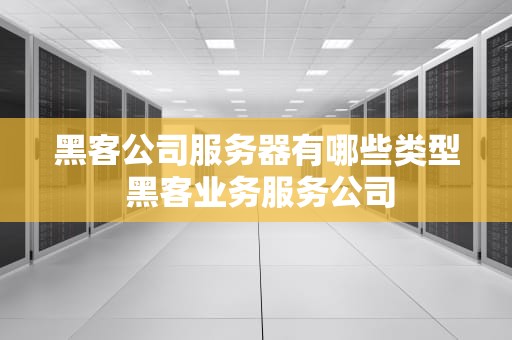黑客公司服务器有哪些类型 黑客业务服务公司