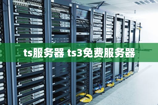 ts服务器 ts3免费服务器