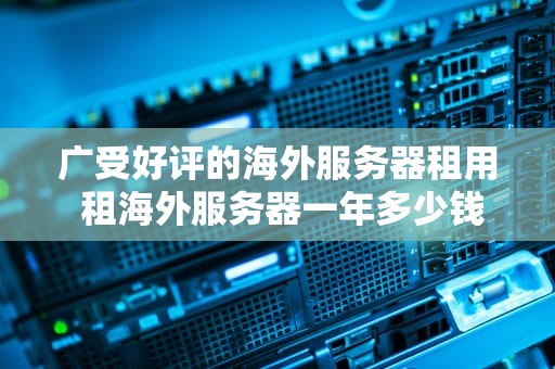 广受好评的海外服务器租用 租海外服务器一年多少钱