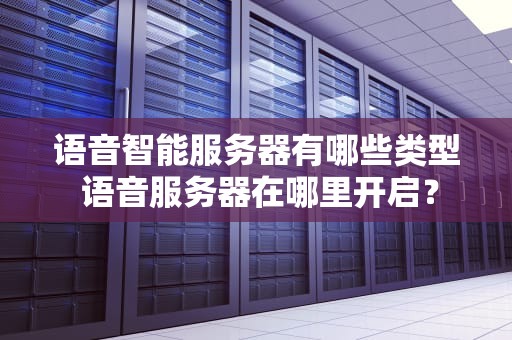 语音智能服务器有哪些类型 语音服务器在哪里开启？