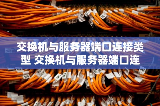 交换机与服务器端口连接类型 交换机与服务器端口连接类型怎么选