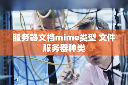 服务器文档mime类型 文件服务器种类