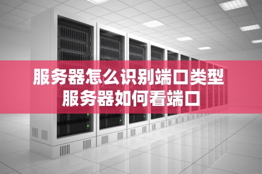 服务器怎么识别端口类型 服务器如何看端口