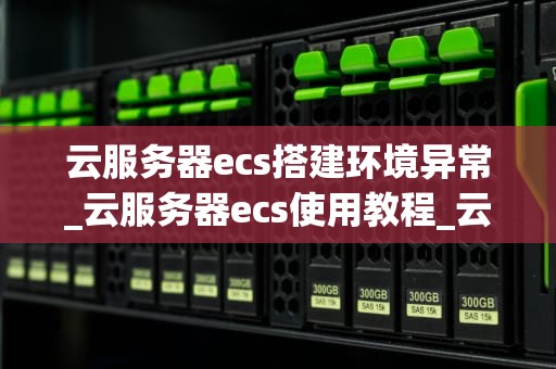 云服务器ecs搭建环境异常_云服务器ecs使用教程_云服务器ECS搭建环境异常的解决策略