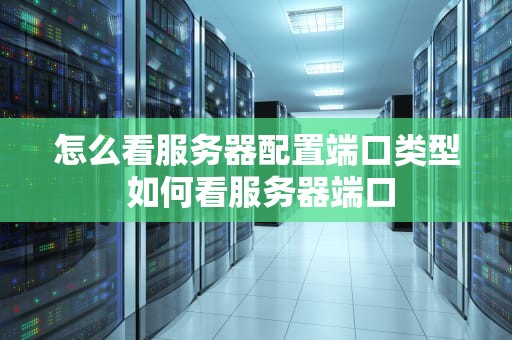 怎么看服务器配置端口类型 如何看服务器端口
