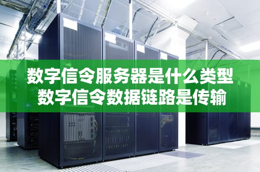 数字信令服务器是什么类型 数字信令数据链路是传输速率为