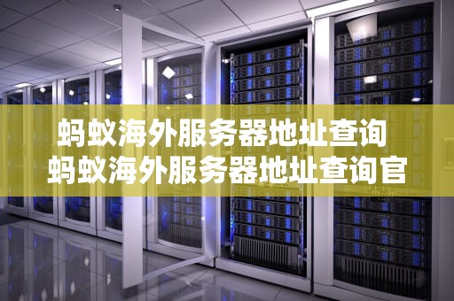 蚂蚁海外服务器地址查询 蚂蚁海外服务器地址查询官网