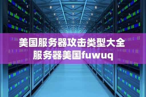 美国服务器攻击类型大全 服务器美国fuwuq