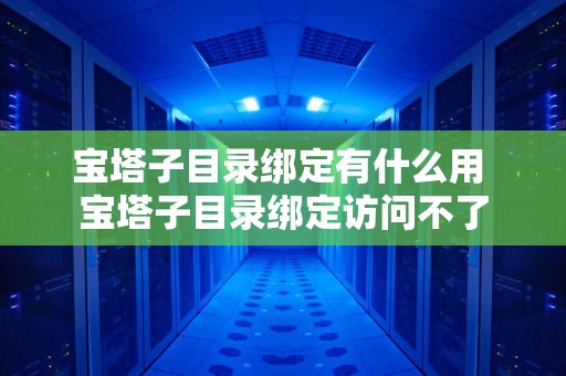 宝塔子目录绑定有什么用 宝塔子目录绑定访问不了