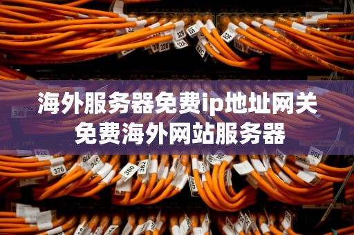 海外服务器免费ip地址网关 免费海外网站服务器