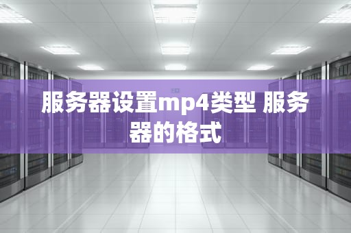 服务器设置mp4类型 服务器的格式