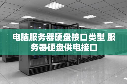 电脑服务器硬盘接口类型 服务器硬盘供电接口