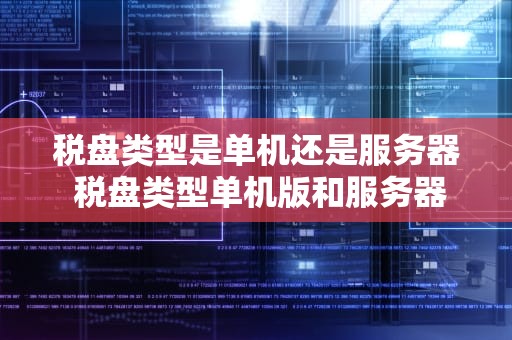 税盘类型是单机还是服务器 税盘类型单机版和服务器版