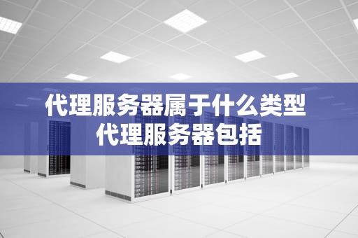 代理服务器属于什么类型 代理服务器包括