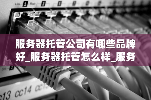 服务器托管公司有哪些品牌好_服务器托管怎么样_服务器托管公司品牌推荐及分析