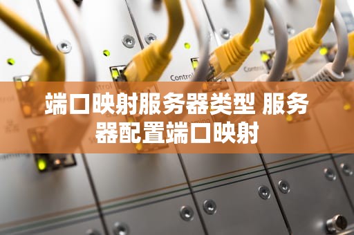 端口映射服务器类型 服务器配置端口映射