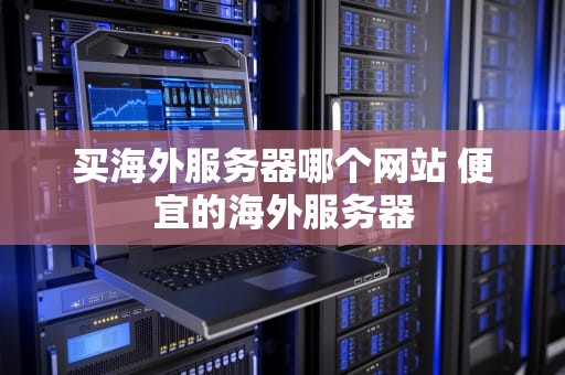 买海外服务器哪个网站 便宜的海外服务器