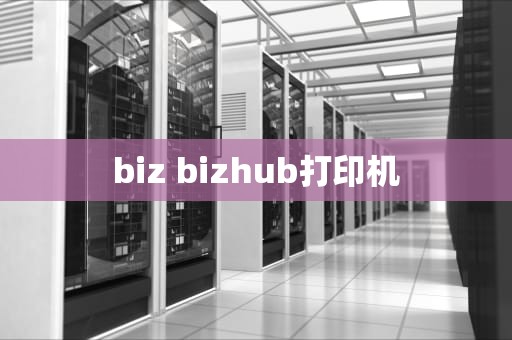 biz bizhub打印机