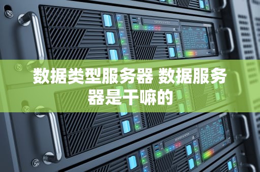 数据类型服务器 数据服务器是干嘛的
