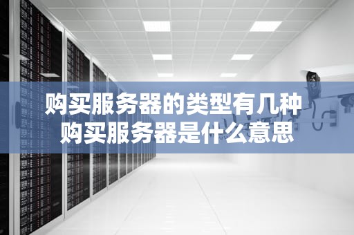 购买服务器的类型有几种 购买服务器是什么意思