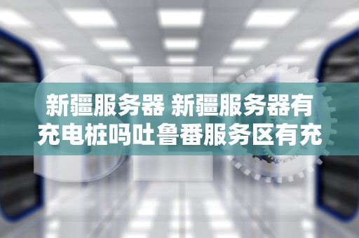 新疆服务器 新疆服务器有充电桩吗吐鲁番服务区有充电桩吗