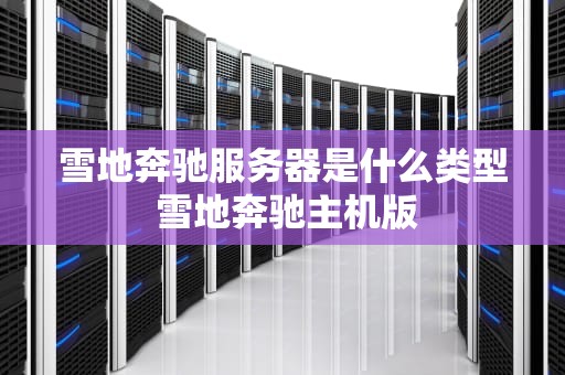 雪地奔驰服务器是什么类型 雪地奔驰主机版